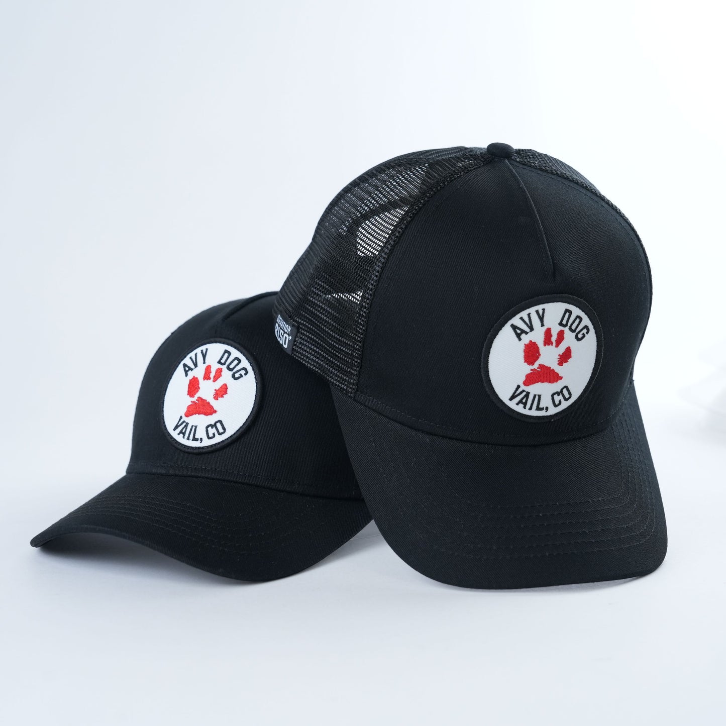 Avy Dog Swag
